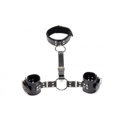Neck to Wrist Restraints - CVN